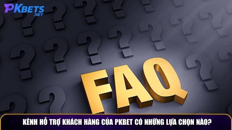 Kênh hỗ trợ khách hàng của PKBET có những lựa chọn nào?