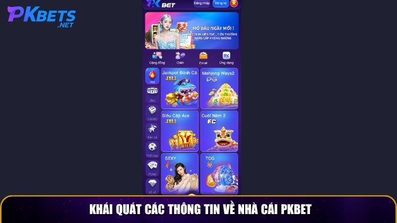 khai quat cac thong tin ve nha cai pkbet