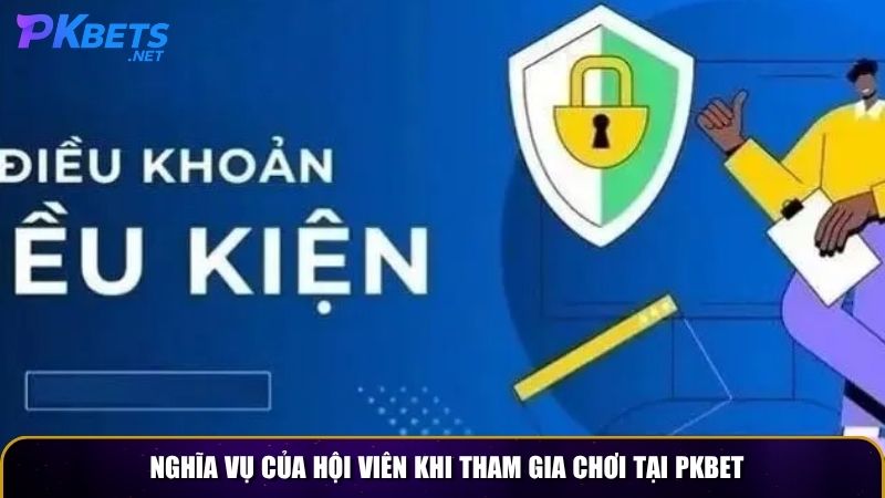 Nghĩa vụ của hội viên khi tham gia chơi tại PKBET
