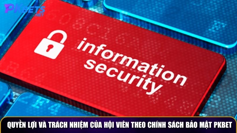 Quyền lợi và trách nhiệm của hội viên theo chính sách bảo mật PKBET