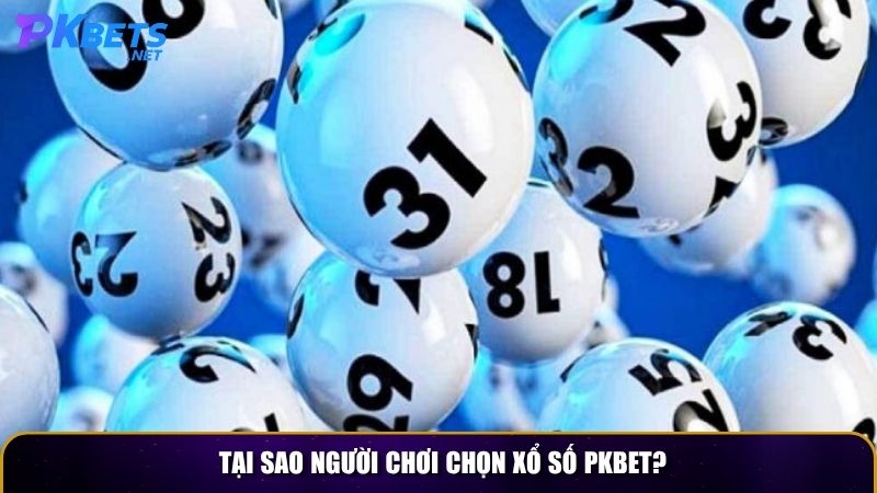Tại sao người chơi chọn xổ số PKBET?