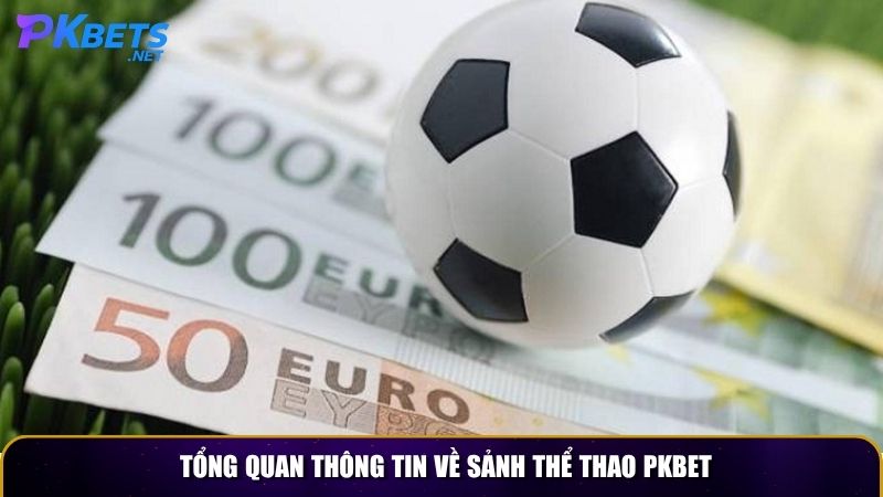 Tổng quan thông tin về sảnh thể thao PKBET